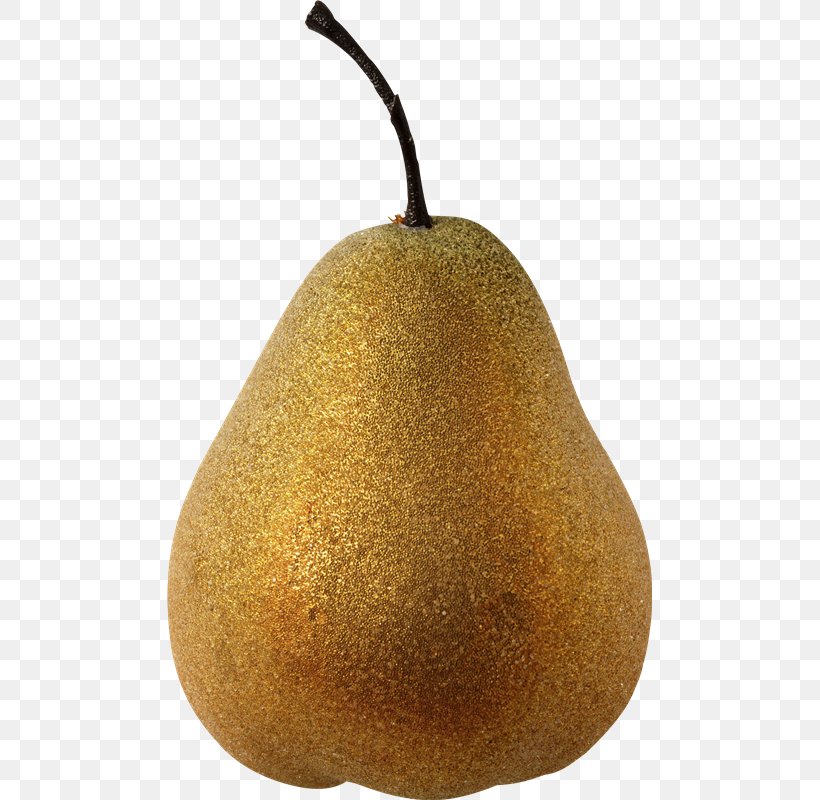 Pear Image Adobe Photoshop, PNG, 485x800px, Pear, Clipping Path, Drawing, Food, Fruit Download Free