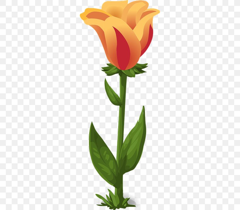 Tulip Image File Formats Clip Art, PNG, 360x720px, Tulip, Bit, Cut Flowers, Floral Design, Floristry Download Free