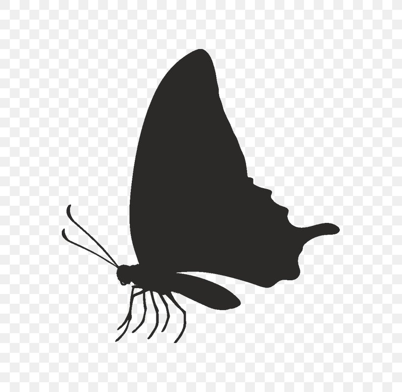 Butterfly Black And White, PNG, 800x800px, Butterfly, Black M, Black White M, Fish, Insect Download Free