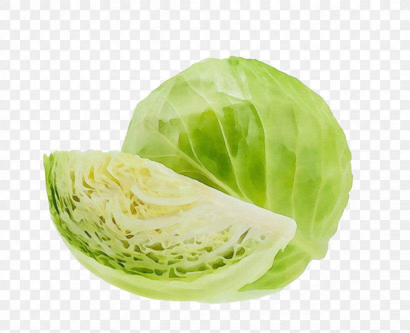 Cabbage Lettuce Vegetable Collard Romaine Lettuce, PNG, 1226x997px,  Download Free
