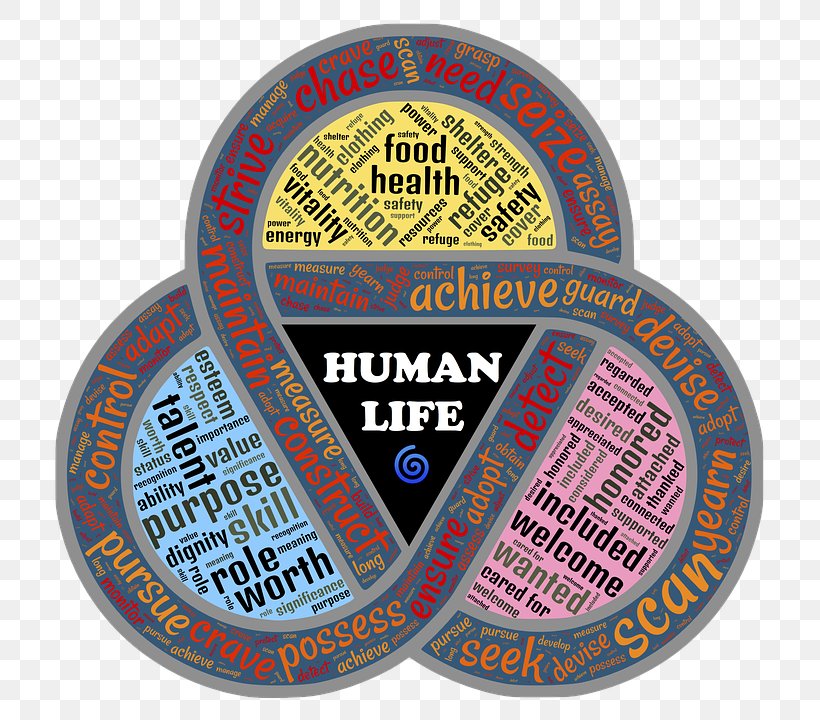Maslow's Hierarchy Of Needs Emotional Security Fundamental Human Needs, PNG, 750x720px, Emotional Security, Abraham Maslow, Badge, Brand, Desire Download Free