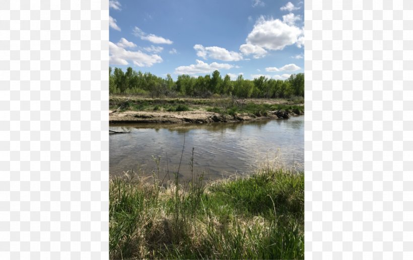 North Platte River Wetland Marsh Lashley Land And Recreational Brokers, PNG, 1170x738px, North Platte, Area, Bank, Bayou, Biome Download Free