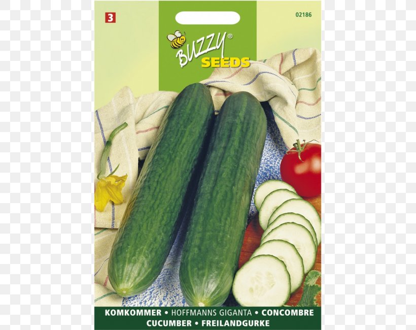 Fruit Vegetable Slicing Cucumber Fruit Vegetable Seed, PNG, 550x650px, Vegetable, Armenian Cucumber, Auglis, Beetroot, Common Beet Download Free