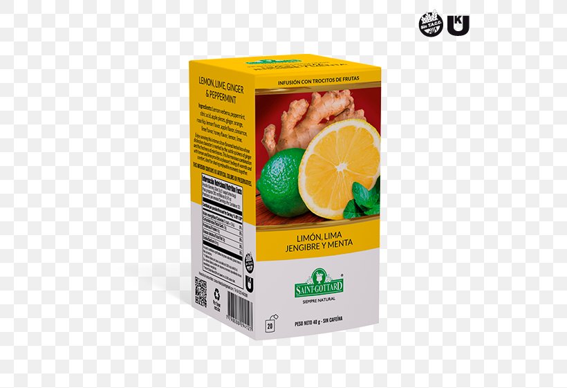 Masala Chai Lemon-lime Drink Tea Plant, PNG, 581x561px, Masala Chai, Black Tea, Cinnamomum Verum, Citric Acid, Citrus Download Free