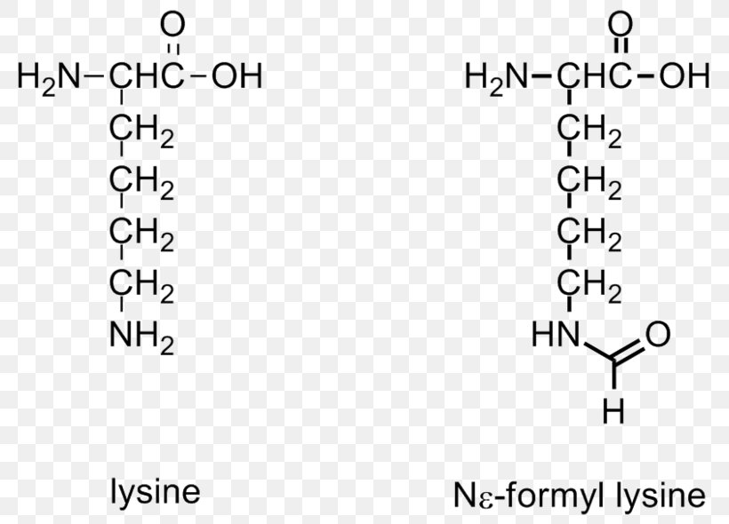 Formylation Reaction Cis–trans Isomerism N-Formylmethionine, PNG ...