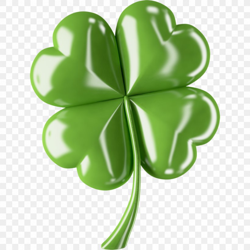 Four-leaf Clover Photography Shamrock, PNG, 886x886px, Fourleaf Clover ...