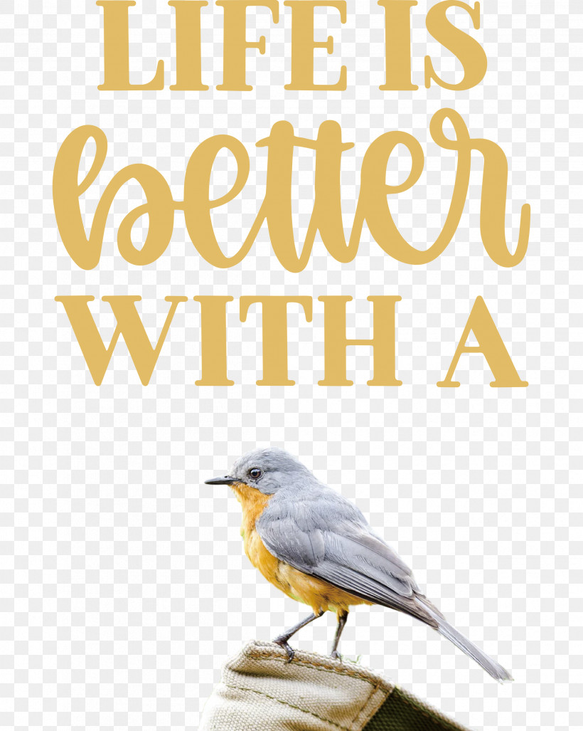 Life Better, PNG, 2394x3000px, Life, Beak, Better, Biology, Birds Download Free