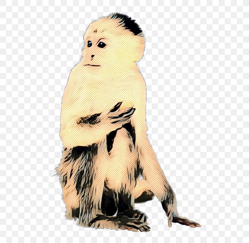 Old World Monkeys New World Monkeys Fauna Fur, PNG, 552x800px, Old World Monkeys, Animal Figure, Fauna, Fur, Macaque Download Free