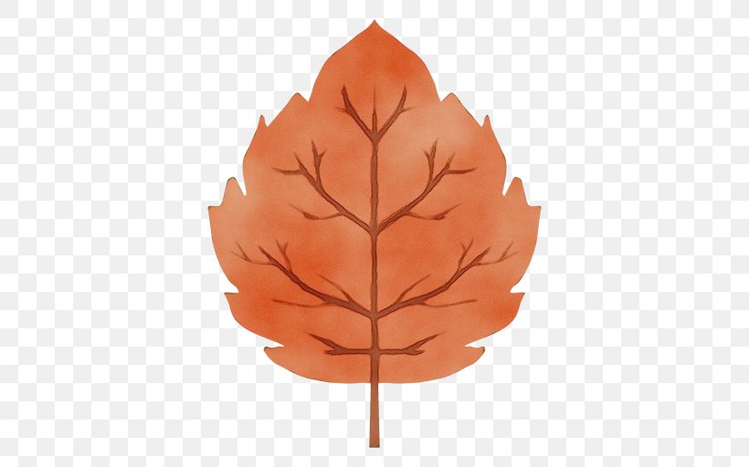 Family Tree Background, PNG, 512x512px, Watercolor, Deciduous, Leaf, Maple, Maple Leaf Download Free