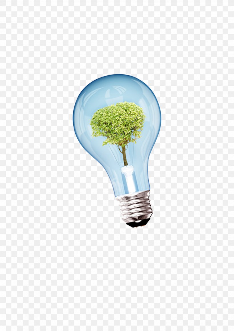 Incandescent Light Bulb Euclidean Vector Download, PNG, 2480x3508px, Light, Compact Fluorescent Lamp, Energy, Energy Conservation, Gratis Download Free