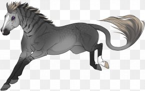 Mustang - Mane Mustang Stallion Mare Rein PNG