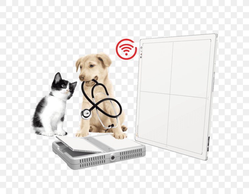 Veterinarian Pet Sitting Kitten Health, PNG, 640x640px, Veterinarian, Animal Health, Carnivoran, Clinic, Diet Download Free