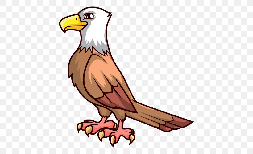 Bird Beak Eagle Bald Eagle Bird Of Prey, PNG, 500x500px, Bird, Accipitridae, Bald Eagle, Beak, Bird Of Prey Download Free