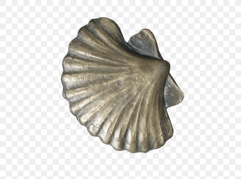 Cockle Silver, PNG, 600x609px, Cockle, Artifact, Metal, Seashell, Silver Download Free