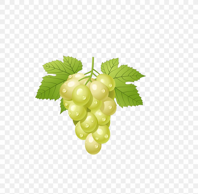 Common Grape Vine Clip Art, PNG, 1058x1038px, Common Grape Vine, Food, Free Content, Fruit, Grape Download Free