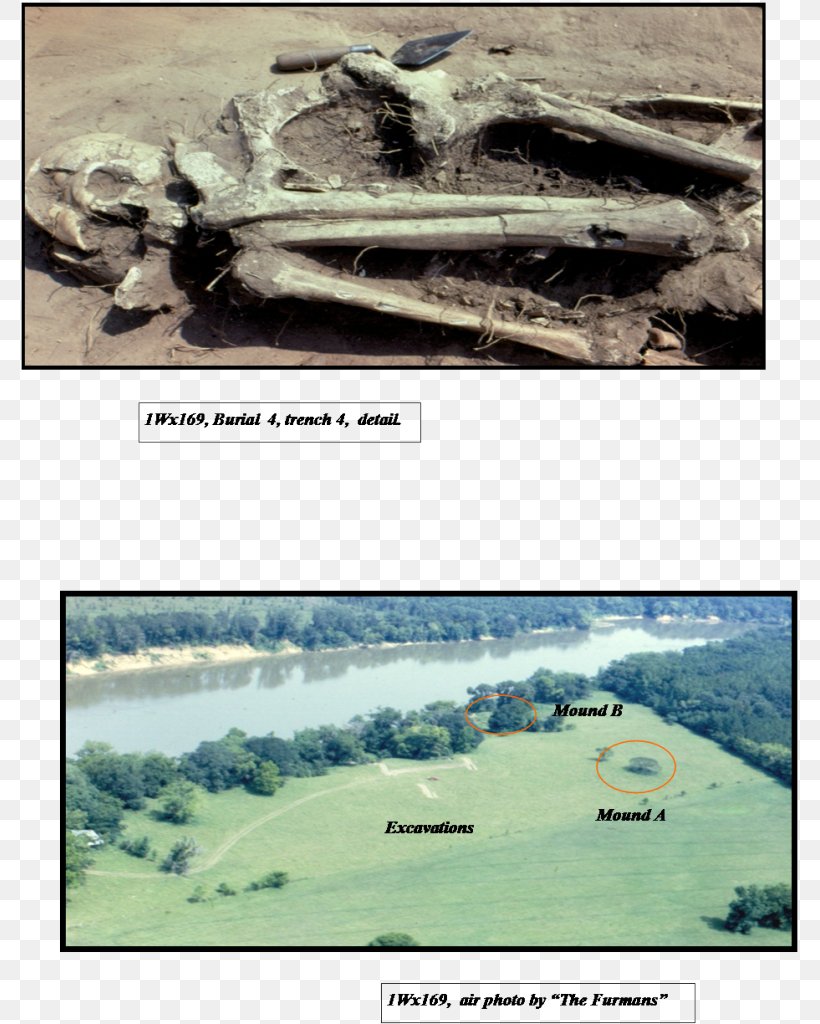 Curren Caleb Prehistory Furman Archaeology Mound, PNG, 781x1024px, Curren Caleb, Alabama, American Journal Of Archaeology, Archaeology, Ecoregion Download Free