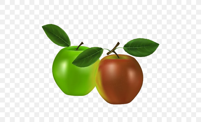 Fruit Apple Clip Art, PNG, 500x500px, Fruit, Apple, Apricot, Auglis, Citrus Download Free