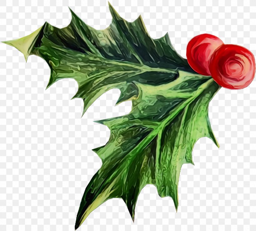 Holly, PNG, 1300x1174px, Holly, Anthurium, Christmas, Flower, Ivy Download Free