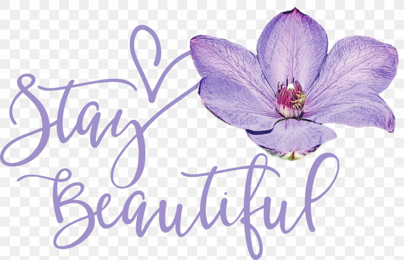 Lavender, PNG, 3000x1932px, Stay Beautiful, Biology, Cut Flowers, Fashion, Flower Download Free