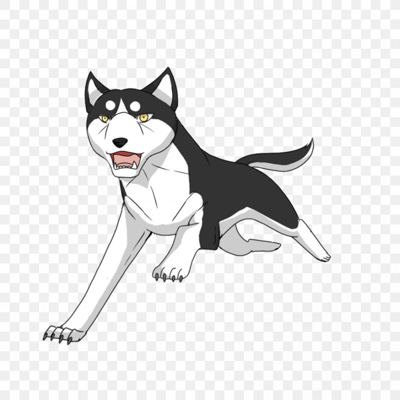 Siberian Husky Dog Breed Sled Dog Cat Leash, PNG, 894x894px, Siberian Husky, Black, Breed, Carnivoran, Cartoon Download Free
