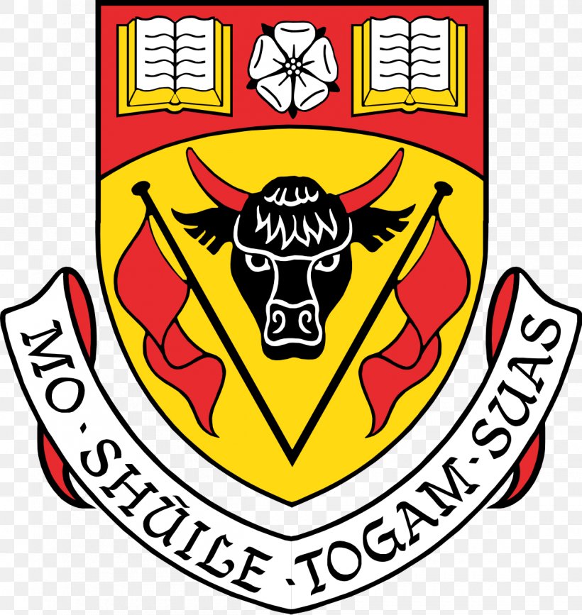 University Of Calgary: The Faculty Of Social Work University Of Calgary Main Campus Saint Leo University, PNG, 1200x1270px, Saint Leo University, Academic Degree, Area, Artwork, Bachelor Of Arts Download Free