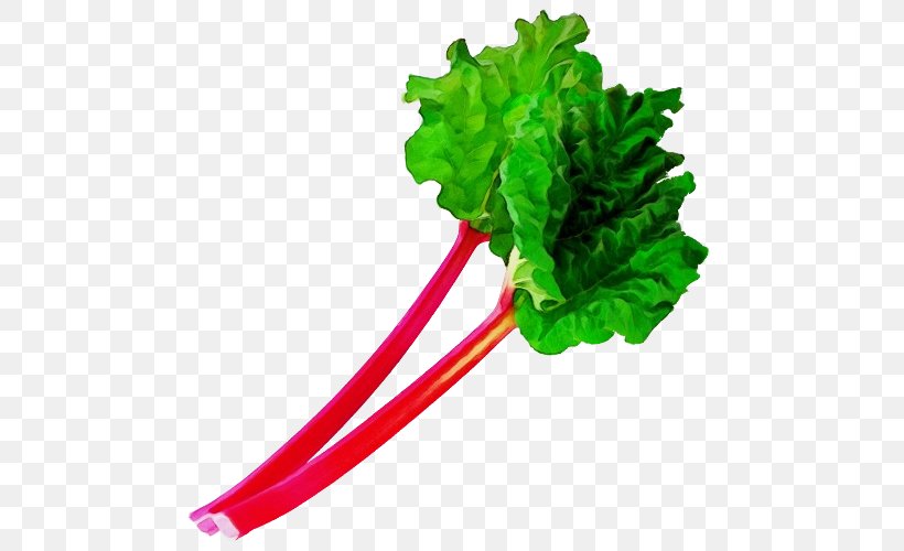 Vegetable Green Leaf Vegetable Chard Leaf, PNG, 500x500px, Watercolor, Chard, Food, Green, Leaf Download Free