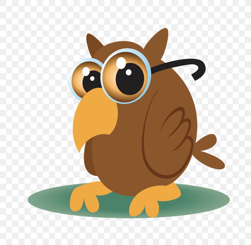 Bird Owl Cartoon, PNG, 800x800px, Bird, Art, Beak, Bird Of Prey, Carnivoran Download Free