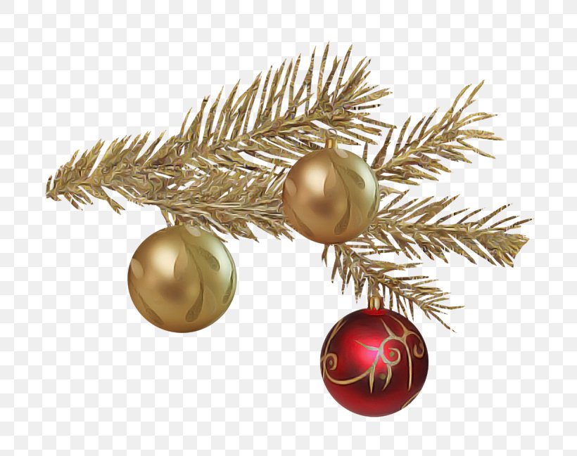 Christmas Ornament, PNG, 800x649px, Christmas Ornament, Branch, Christmas Decoration, Christmas Tree, Conifer Download Free