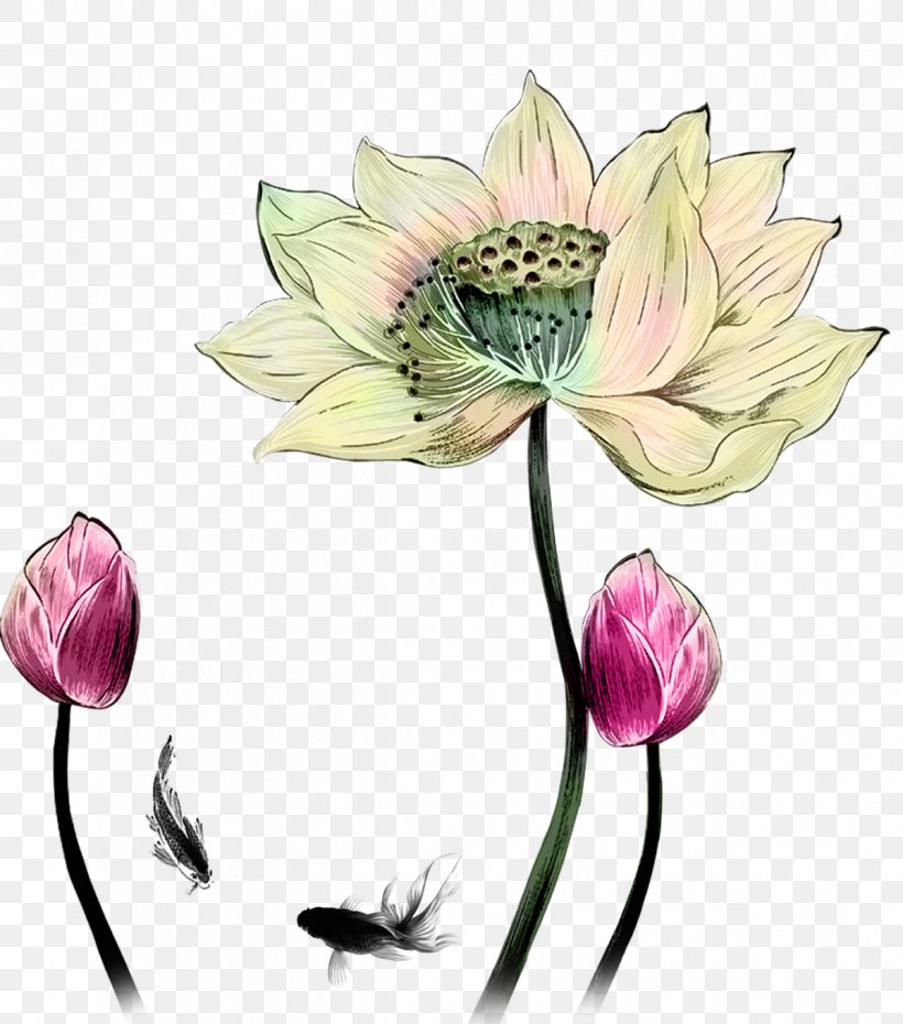 Drawing Designer, PNG, 1198x1360px, Drawing, Cartoon, Color, Cut Flowers, Designer Download Free