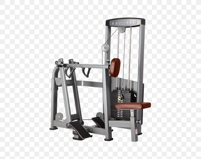 Exercise Machine Row Fitness Centre Muscle, PNG, 555x650px, Exercise Machine, Abdomen, Biceps, Bronze Gym, Crunch Download Free