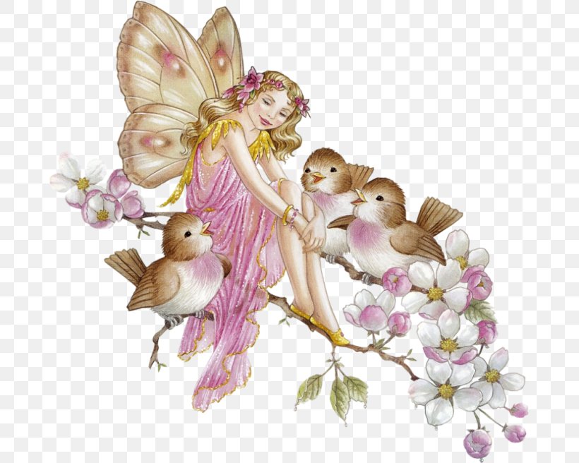 Fairy Flower Fairies, PNG, 679x656px, Fairy, Angel, Blossom, Cut Flowers, Display Resolution Download Free