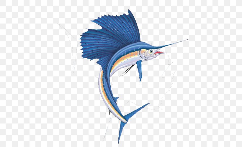 Fish Cartoon, PNG, 500x500px, Atlantic Blue Marlin, Drawing, Fish, Indopacific Sailfish, Logo Download Free