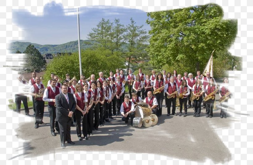 Marching Band Recreation Musical Ensemble Vehicle, PNG, 800x536px, Marching Band, Marching, Musical Ensemble, Musician, Recreation Download Free