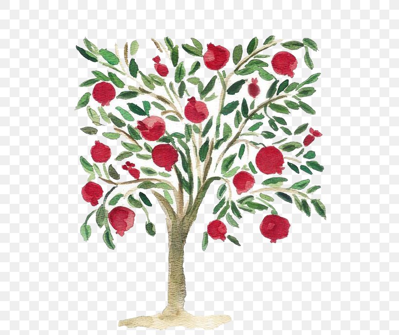 Mediterranean Cuisine Pomegranate Watercolor Painting Tree, PNG, 623x690px, Mediterranean Cuisine, Art, Branch, Cut Flowers, Drawing Download Free