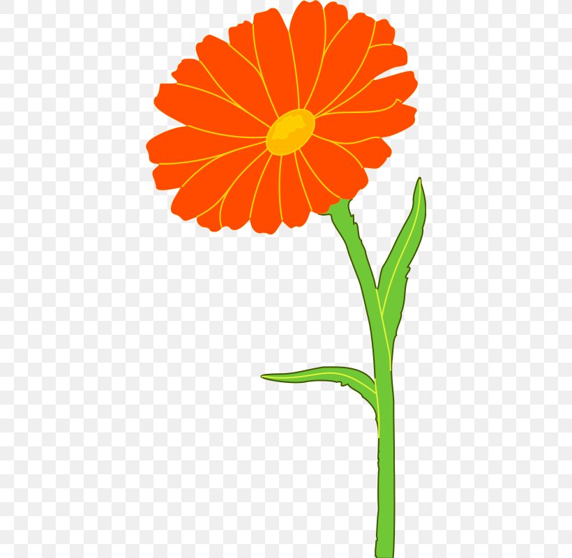 Mexican Marigold Calendula Officinalis Flower Clip Art, PNG, 402x800px, Mexican Marigold, Calendula Officinalis, Daisy Family, Drawing, Flora Download Free