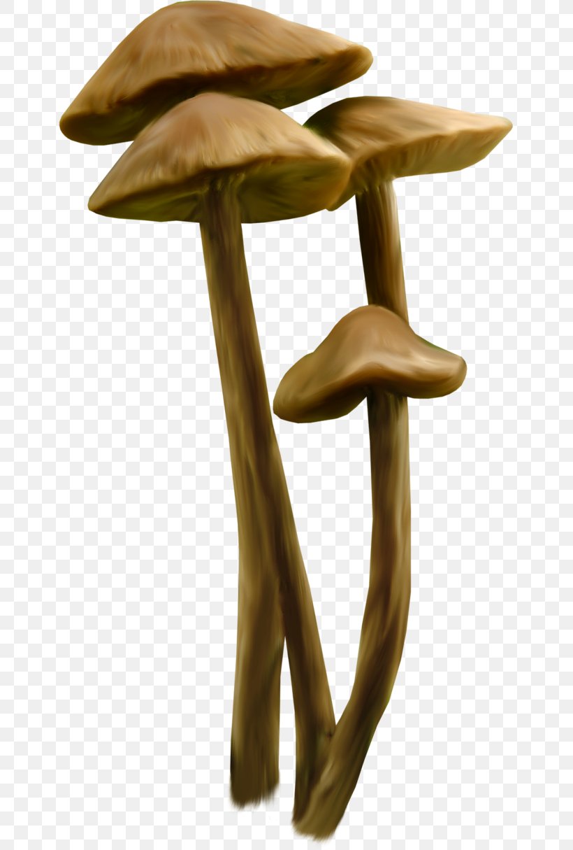 Death Cap Clip Art Adobe Photoshop Fungus, PNG, 651x1215px, Death Cap, Cloud, Computer Animation, Display Resolution, Drawing Download Free