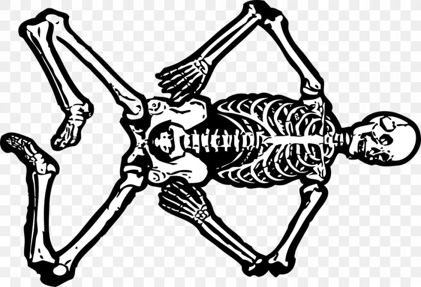Human Skeleton Skull Clip Art, PNG, 960x655px, Skeleton, Art, Artwork, Bit, Black And White Download Free