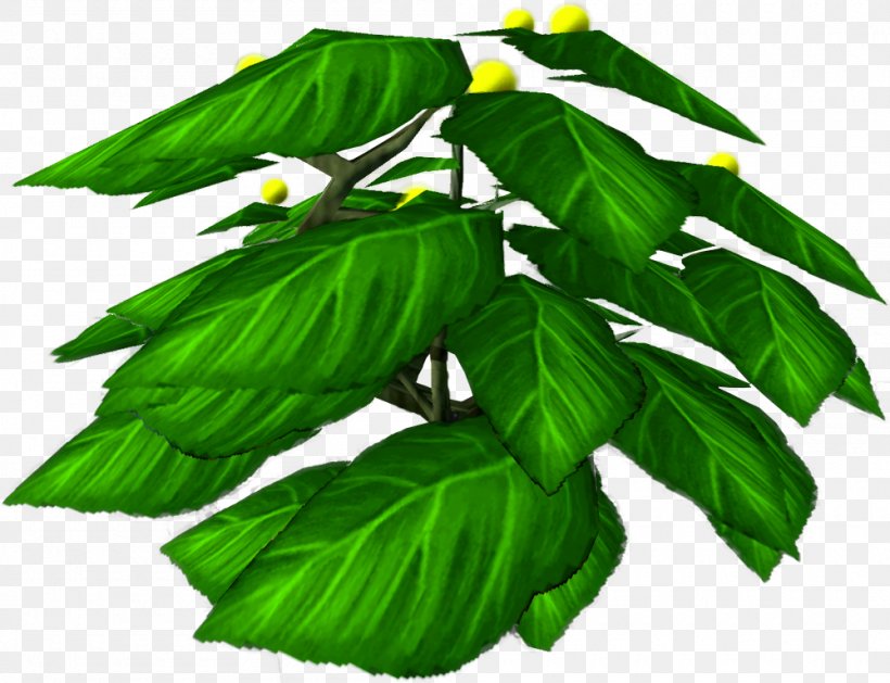 Leaf Tree Herb, PNG, 1000x768px, Leaf, Flower, Flowering Plant, Green, Herb Download Free