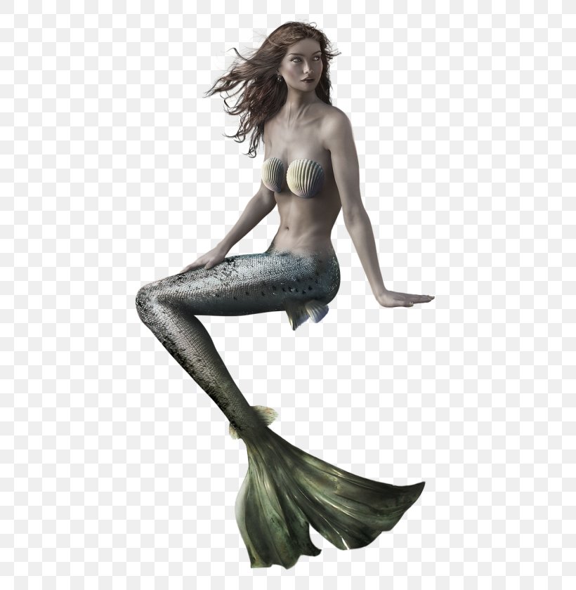 Mermaid Siren Nymph Legend, PNG, 500x840px, Watercolor, Cartoon, Flower, Frame, Heart Download Free