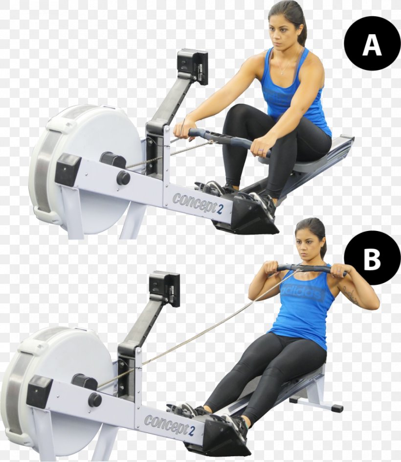 Weight Training Indoor Rower Barbell Weightlifting Machine, PNG, 889x1024px, Weight Training, Arm, Balance, Barbell, Bench Download Free