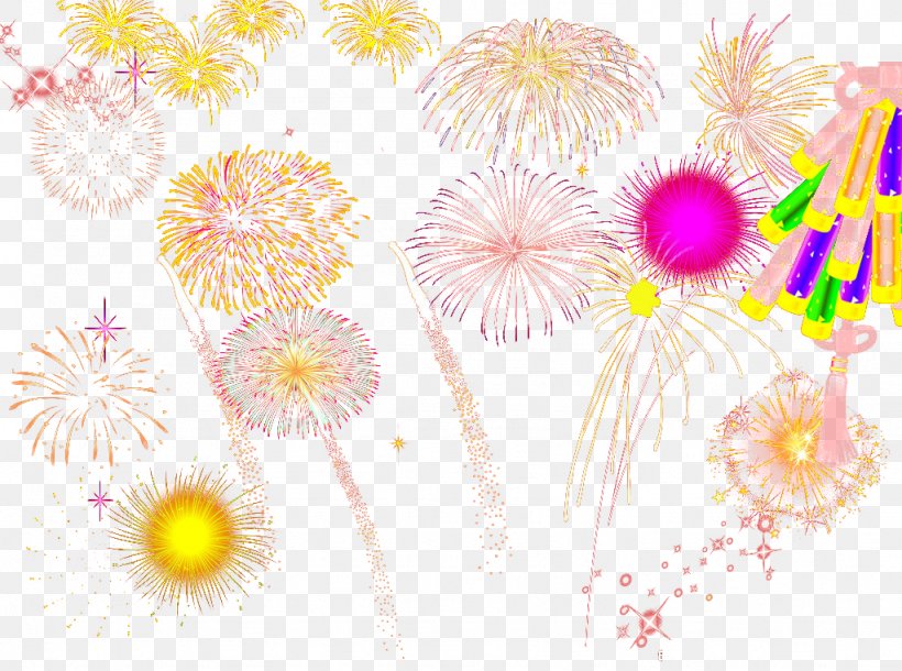 Fireworks Flower Bouquet Firecracker Chrysanthemum Floral Design, PNG, 1024x762px, Fireworks, Chrysanthemum, Chrysanths, Color, Cut Flowers Download Free
