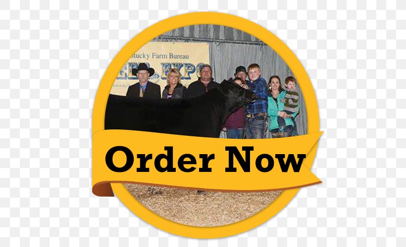 Golden Flo Car Dealership Customer Service Taylorville, IL, PNG, 500x500px, Car Dealership, Alabama, Animal, Arizona, California Download Free
