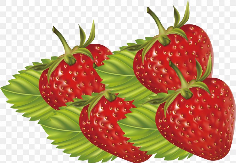 Strawberry Accessory Fruit Aedmaasikas, PNG, 1307x905px, Strawberry, Accessory Fruit, Aedmaasikas, Auglis, Berry Download Free