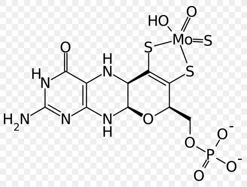 Tyrosine Hydroxylase Chemistry Organic Compound Chemical Compound, PNG, 1014x768px, Tyrosine Hydroxylase, Area, Auto Part, Black And White, Chemical Compound Download Free