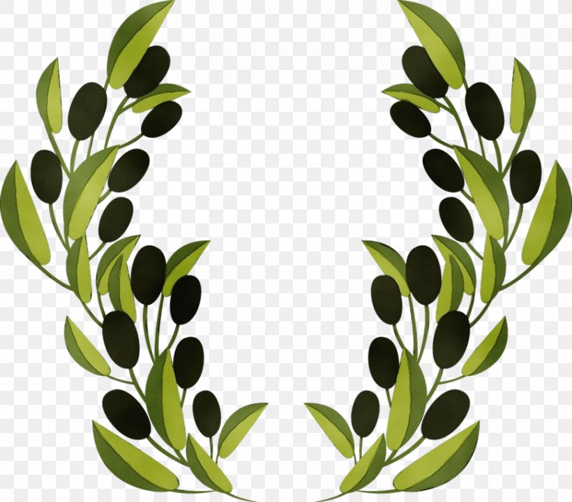Leaf Green Plant Olive Clip Art, PNG, 869x762px, Watercolor, Branch, Flower, Grass, Green Download Free