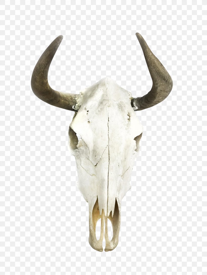 Los Angeles Horn Wildebeest Cattle Design, PNG, 3024x4032px, Los Angeles, Animal, Antler, Art, Bone Download Free