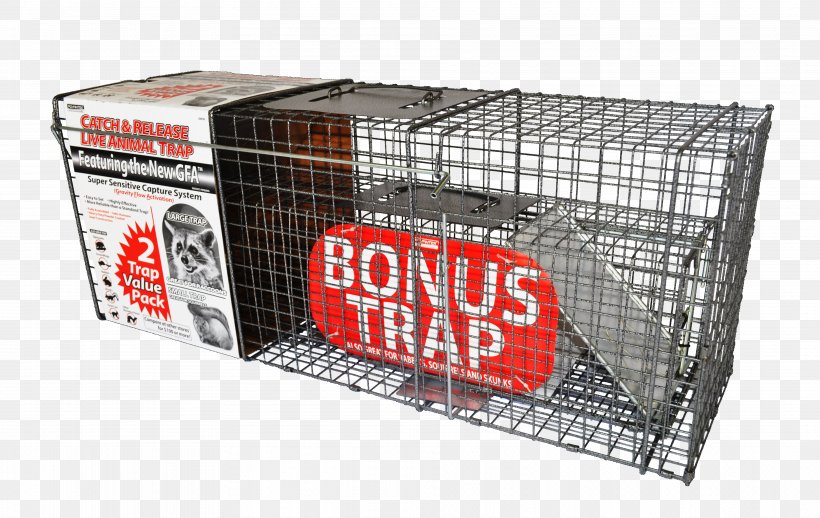 Raccoon Trapping Feral Cat Cage, PNG, 3748x2368px, Raccoon, Cage, Cat, Coyote, Dog Download Free