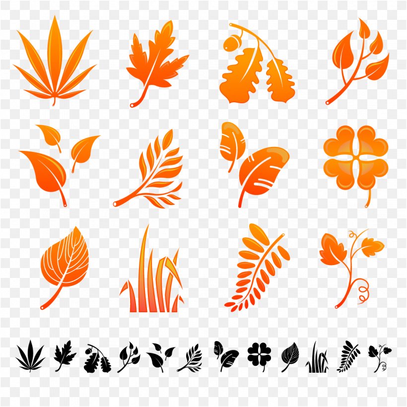 Autumn Leaf Color Autumn Leaf Color, PNG, 1233x1233px, Leaf, Autumn, Autumn Leaf Color, Orange, Petal Download Free