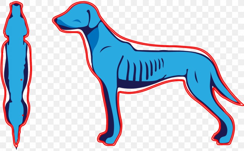 Dog Breed Shar Pei Puppy Cat Dingo, PNG, 1279x795px, Dog Breed, Blue, Breed, Carnivoran, Cat Download Free