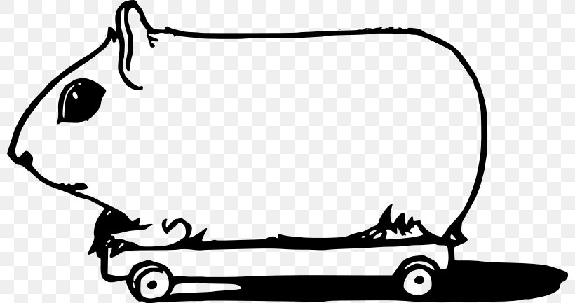 Guinea Pig Hamster Clip Art, PNG, 800x433px, Guinea Pig, Area, Automotive Design, Black And White, Car Download Free